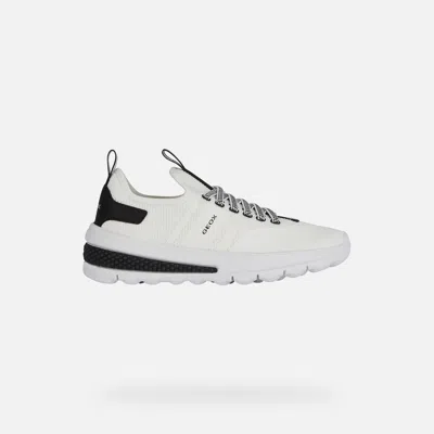 Geox Kids' Activart Junior White/black In White,black