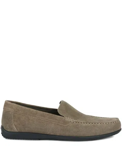 Geox Ascanio Suede Loafers
