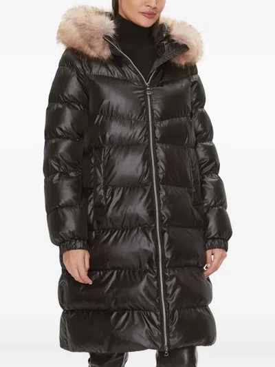 Geox Backsie Padded Coat In Brown