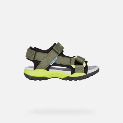 Geox Kids' Borealis   Junior Military/lime In Military,lime