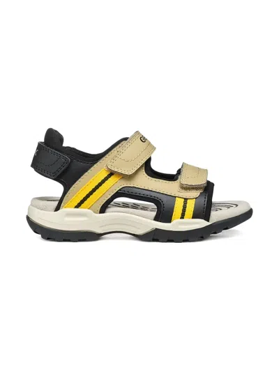 Geox Borealis Sandals In Multi