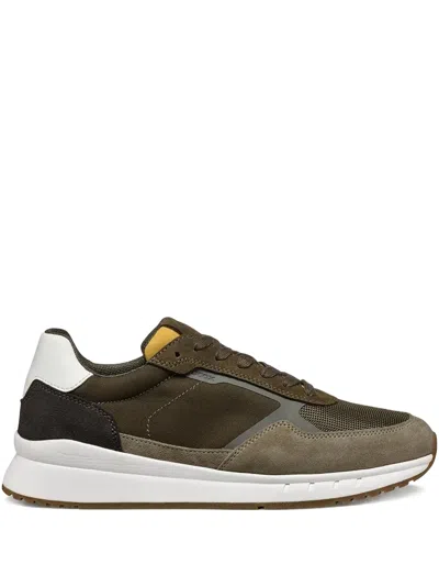 Geox Branthon Panelled Sneakers In Green