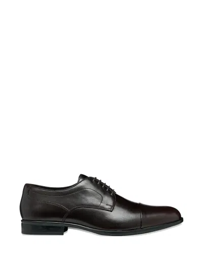 Geox Cap-toe Lace-up Shoes In Brown