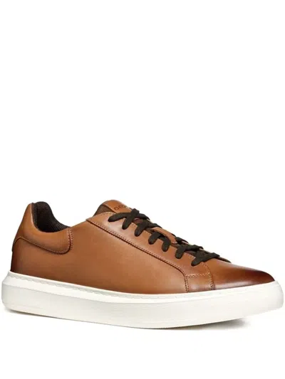 Geox Deiven Sneakers In Brown
