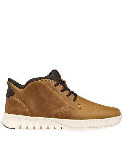 Geox Lace-up Leather Sneakers In Brown