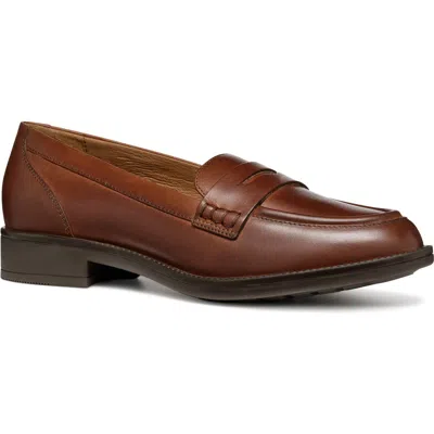 Geox Jaylon Penny Loafer In Medium Brown