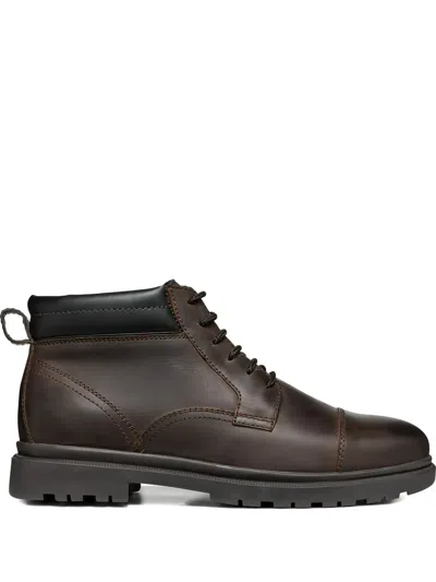 Geox Lace-up Boots In Brown