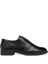 Geox Lace-up Fastening Brogues Shoes In Multi