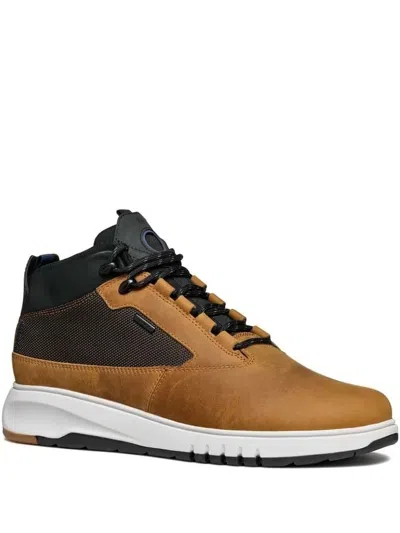 Geox Lace-up Sneakers In Brown