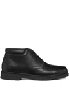 Geox Leather Lace-up Ankle Boots In Black