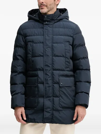 Geox Leitan Hooded Padded Jacket In Green