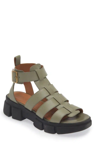 Geox Lisbona Fisherman Sandal In Sage