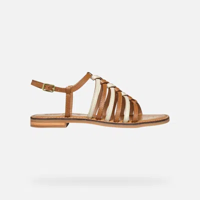 Geox Maddalusia C Woman