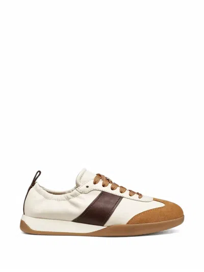 Geox Marymy Sneakers In Brown
