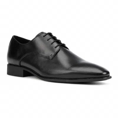 Geox Men's High Life Shoe In Black In Animal Print