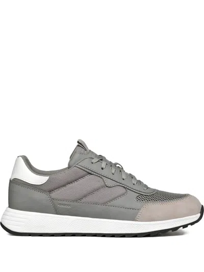 Geox Molveno Panelled Sneakers In Gray