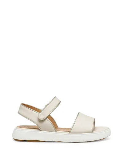 Geox Nebula 2.0 C S Touch-strap Leather Sandals In Multi