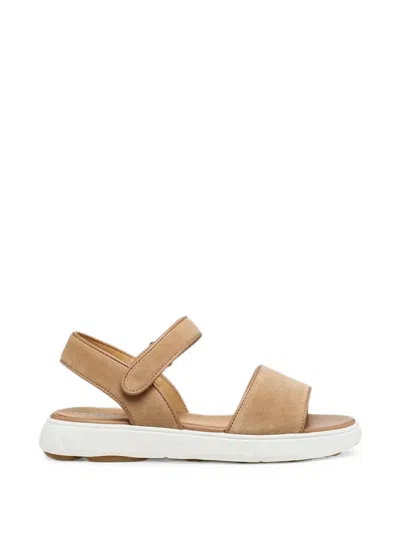 Geox Nebula 2.0 C S Touch-strap Sandals In Multi