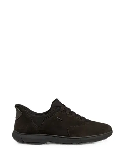 Geox Nebula 2.0 Suede-finish Lace-up Sneakers In Brown