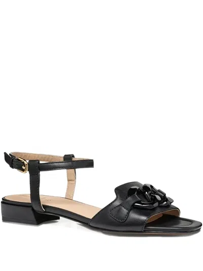 Geox New Eraklia Ankle-strap Flat Sandals In Black