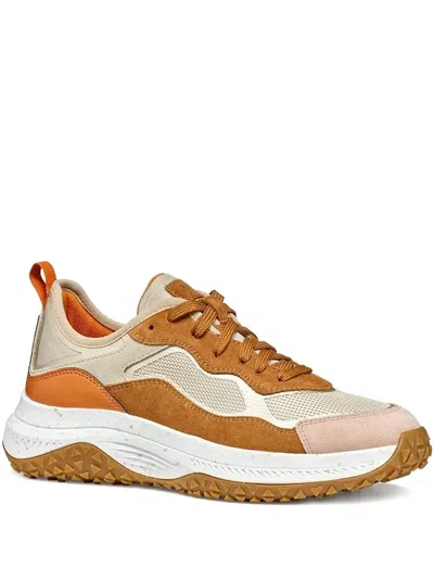 Geox Oliveira Trainers In Brown