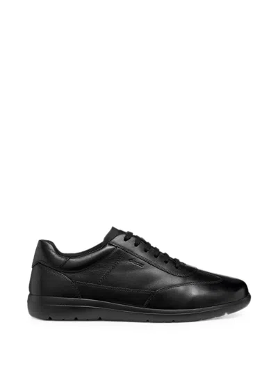 Geox Panelled Lace-up Sneakers In Black