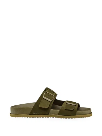 Geox Parnaiba Buckled Leather Sandals In Green