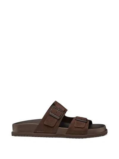 Geox Parnaiba Buckle-fastening Sandals In Brown