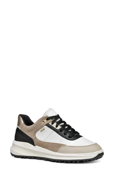 Geox Pg1x Abx Waterproof Sneaker In White/light Taupe