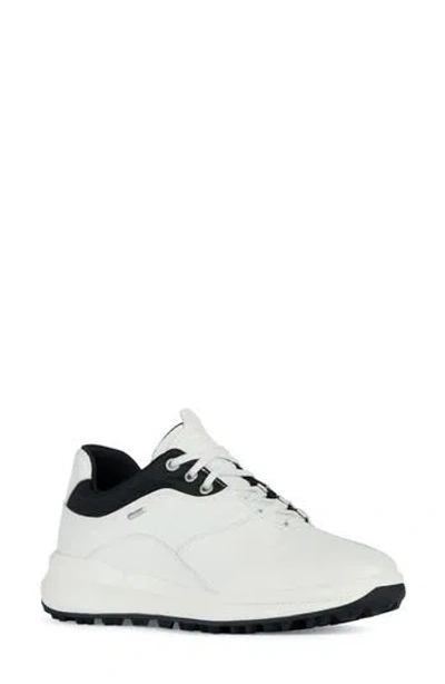 Geox Pg1x Amphibiox® Waterproof Sneaker In White/black