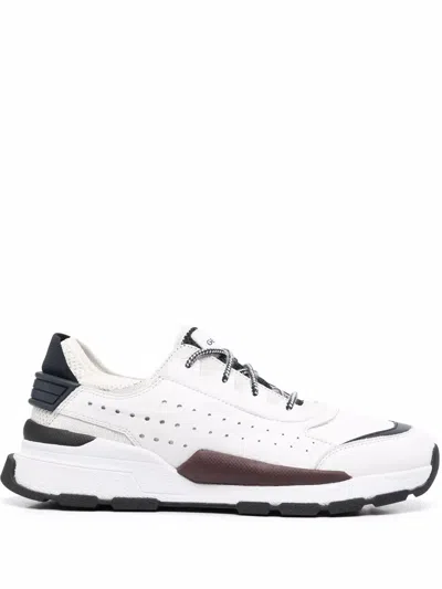 Geox Regale Low Top Trainers In Nocolor