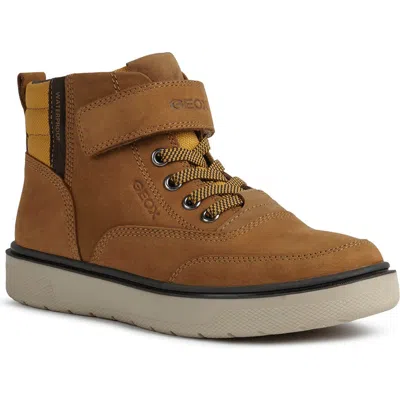 Geox Riddock High Top Sneaker In Dark Yellow/brown