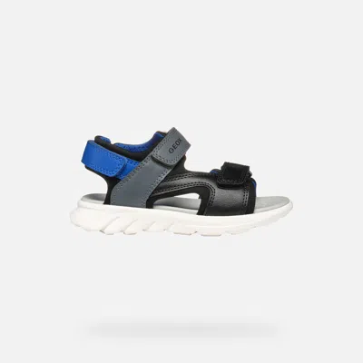 Geox Kids' Sandal Airadyum Boy Black/royal In Black,royal