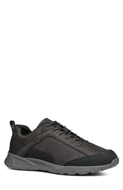 Geox Sanzio Sneaker In Dark Coffee/black