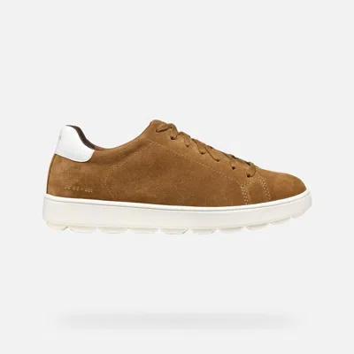 Geox Spherica Ecub-1 Man In Karamel