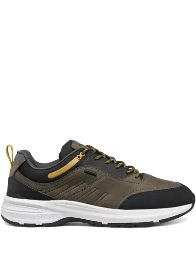 Geox Senales Abx Sneakers In Multi