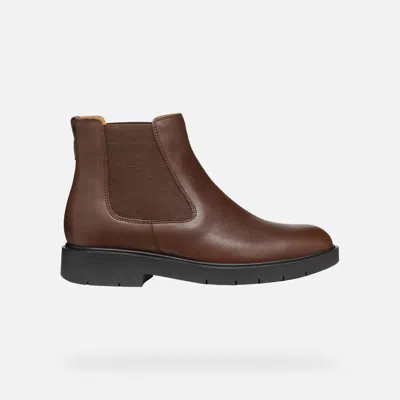 Geox Spherica Ec1 Woman Dark Brown