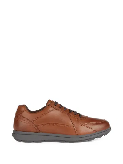 Geox Spherica Ec12 Panelled Calf Leather Sneakers In Brown