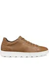 Geox Spherica Ecub-1 Man Toffee In Brown
