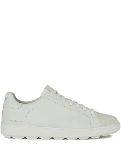 Geox Spherica™ Ecub-1 Leather Sneakers