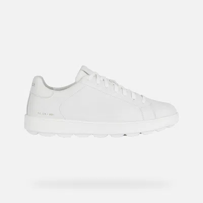Geox Spherica Ecub-1 Man White