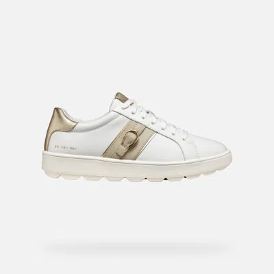 Geox Spherica Ecub-1 Woman White/light Taupe In White,light Taupe