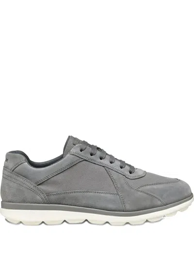 Geox Spherica Mesh-panel Sneakers In Gray