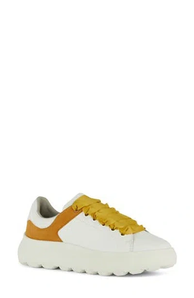 Geox Spherica Sneaker In White/cognac