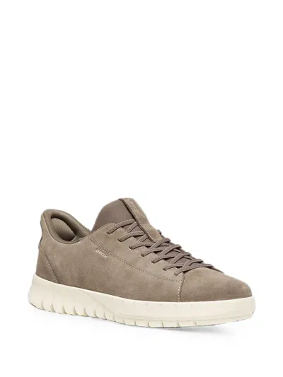 Geox Suede Panelled Sneakers In Gray