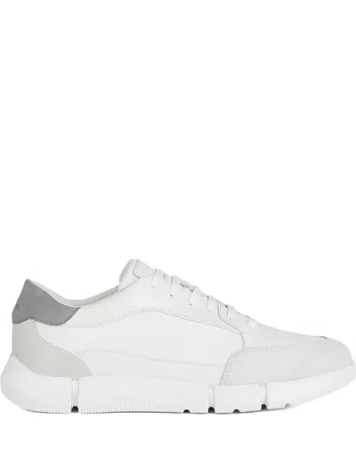 Geox U Adacter Leather Suede Panel Trainers In White