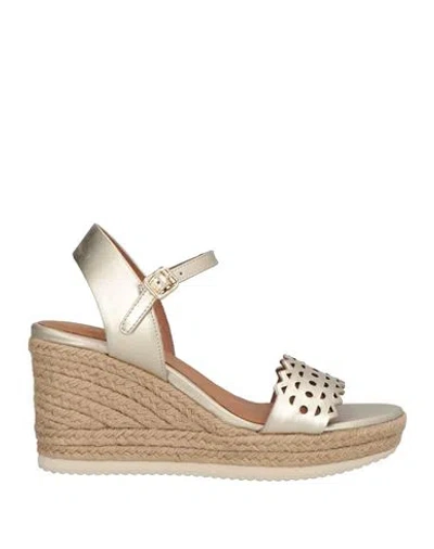 Geox Woman Espadrilles Platinum Size 8 Leather In Grey