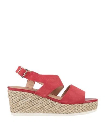 Geox Woman Sandals Red Size 5 Soft Leather