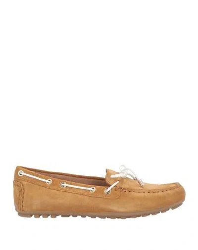 Geox Woman Loafers Camel Size 7 Soft Leather, Textile Fibers In Beige