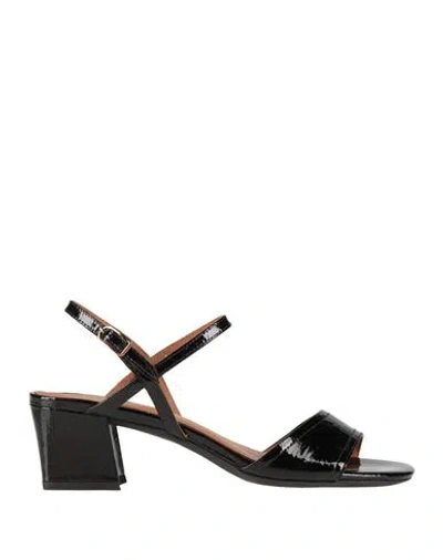 Geox Woman Sandals Black Size 7.5 Leather